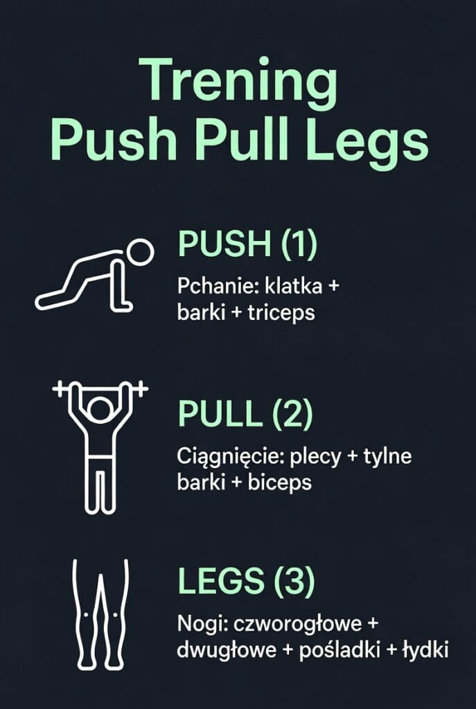 Trening push pull legs